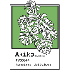 Monstera Deliciosa Akiko