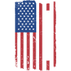 Labrador Retriever Us Flag