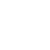Labrador Retriever Maman