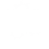 Mechanical Engineer I'm fighting zombies