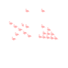 Flamants roses Bingo Flamants roses