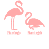 Flamants roses Flamants roses