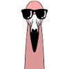 Flamingo Sunglasses Flamingos