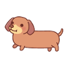 Chiot mignon teckel