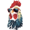 Rooster Sunglasses