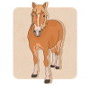 Haflinger Pferde Haffi Pferdebesitzer Geschenk