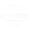 Kitzbuhel downhill world series