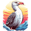 Mouette au coucher du soleil