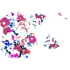 Fleurs,Fleur,Printemps,Fleurs