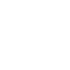 Roller skaters