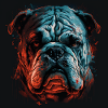 Grumpy English Bulldog
