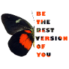 Butterfly Animal Butterfly Insect