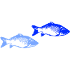 Pisces 2