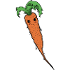 Carrot