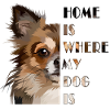 Chihuahua dog quote