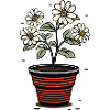 Flowerpot cute style white flowers