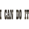 i can do it