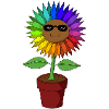 Bunte Sonnenblumen