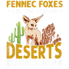 Fennek foxes deserts are irresistible