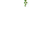 Zambie