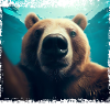 Bär Selfie im Unterwasserreich