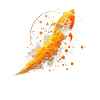 Bitcoin Rakete