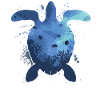 Sea Turtle Tortoise