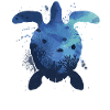 Tortue de mer