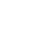 Sea Turtle Tortoise Heart