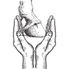 Pferdehuf Hand