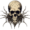 Spider Skull