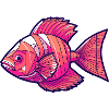 Magenta geometrical fish