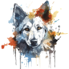 Hundeshirt 1