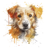 Hundeshirt 2