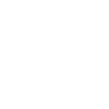 Scout