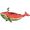 Watermelon whale