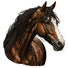 Majestic horse motif