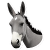 Donkey Keyboard Adventure