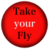 Take your Fly