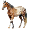 Pferd