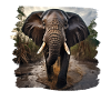 Elefanten realistic Elefant