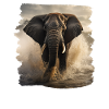 Elephant realistic elephant