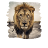 Lion realistic lion