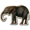 Elephant with Tape
