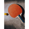 Tischtennisschläger