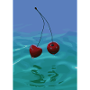 Zwei Kirschen