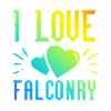 I love falconry
