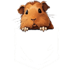 MEERSCHWEINCHEN