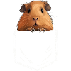 MEERSCHWEINCHEN