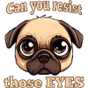 Dog's gaze: irresistible cuteness